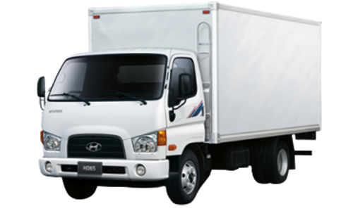 2D коврики EVA в салон  на Hyundai HD-65/72/78