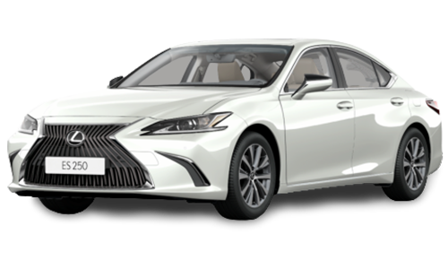 2D коврики EVA в салон  на Lexus ES VII (2018-н.в.)