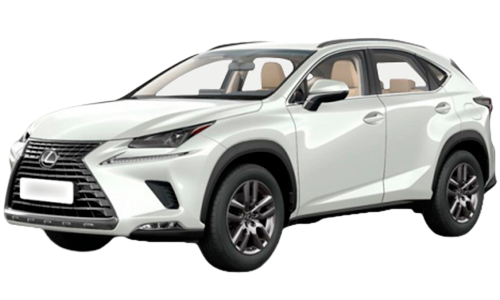 3D коврики EVA с бортами в салон  на Lexus NX (2014-2021)