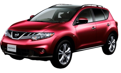 3D коврики EVA с бортами в салон  на Nissan Murano II Z51 (2008-2015)